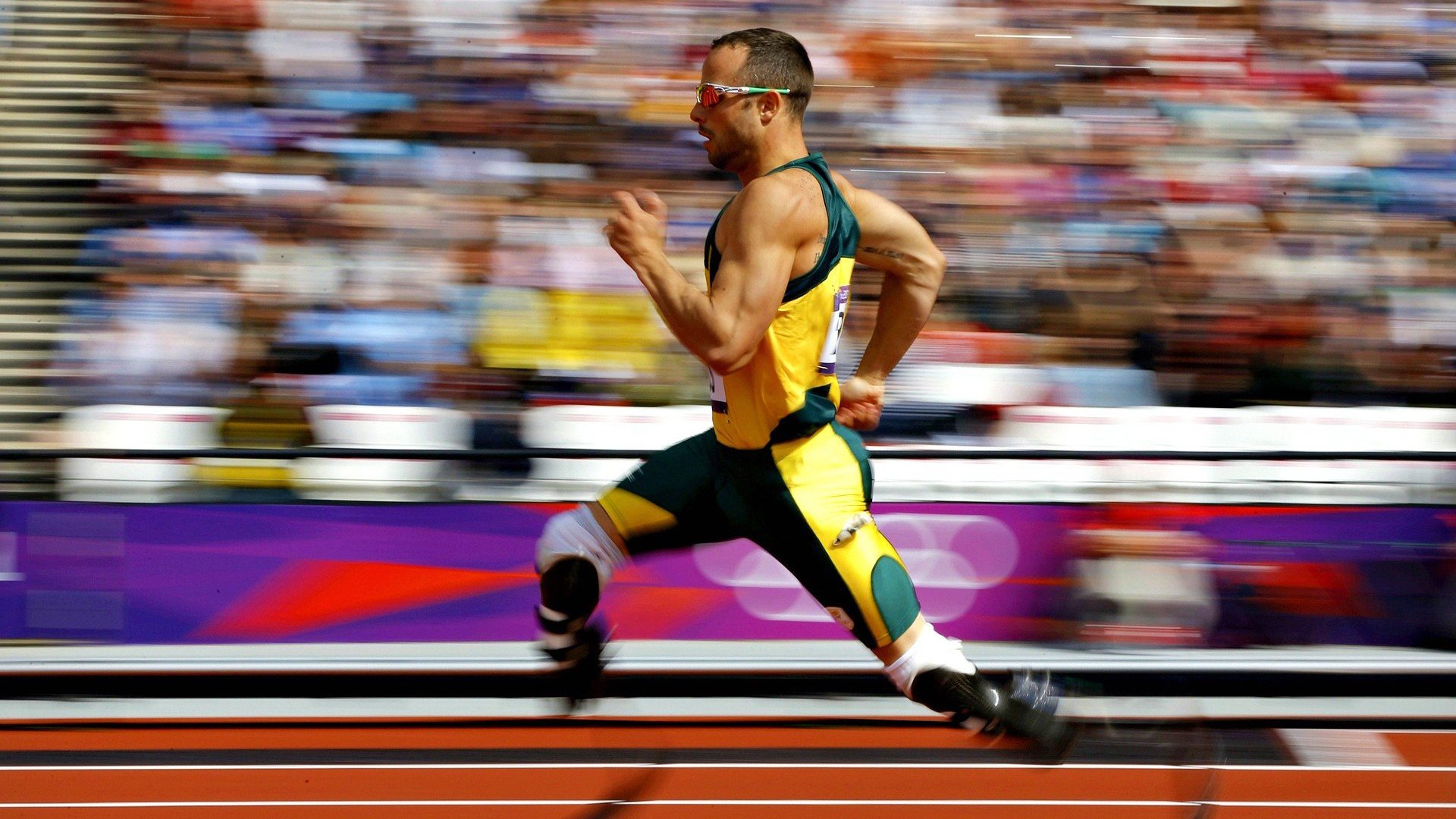 范弗利特一剑封喉，当多伦多寒冰遇上东北虎的烈火